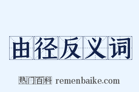由径反义词是什么意思的图片